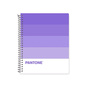 Pack 5 Cuadernos Medio Oficio Pantonera 150 Hojas 5mm