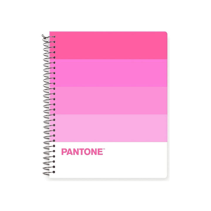 Pack 5 Cuadernos Medio Oficio Pantonera 150 Hojas 5mm 3