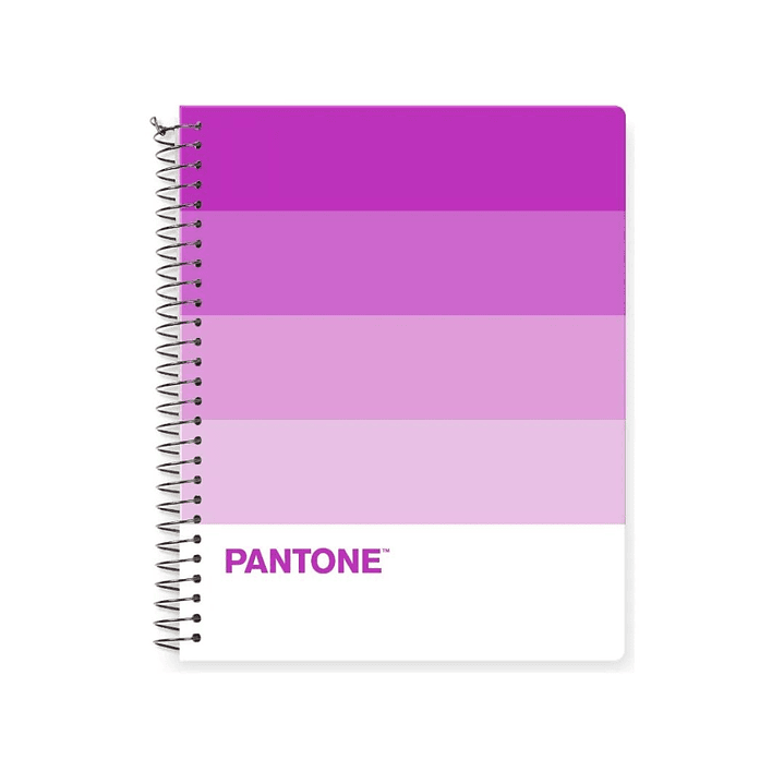 Pack 5 Cuadernos Medio Oficio Pantonera 150 Hojas 5mm 5