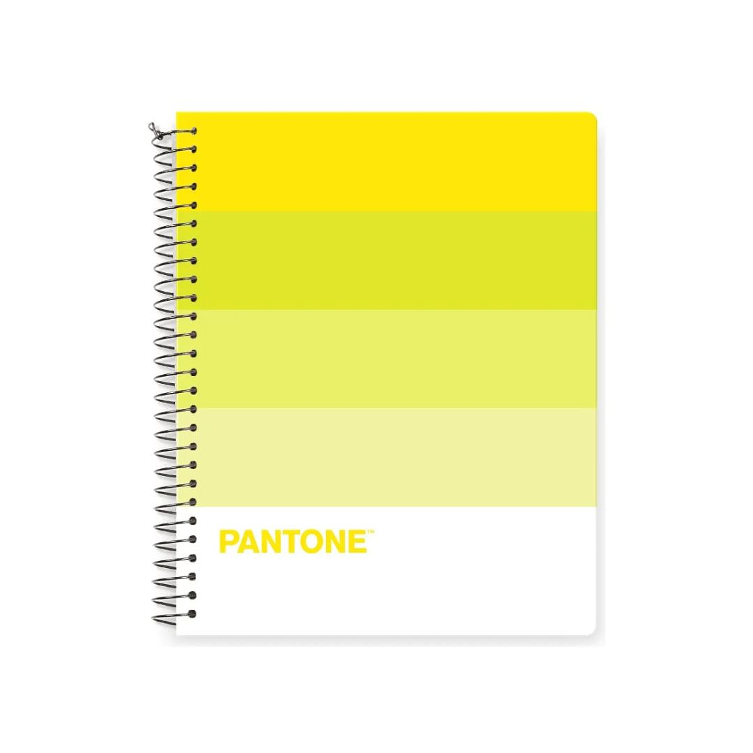 Pack 5 Cuadernos Medio Oficio Pantonera 150 Hojas 5mm 6