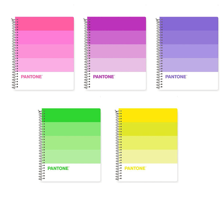 Pack 5 Cuadernos Medio Oficio Pantonera 150 Hojas 5mm 1