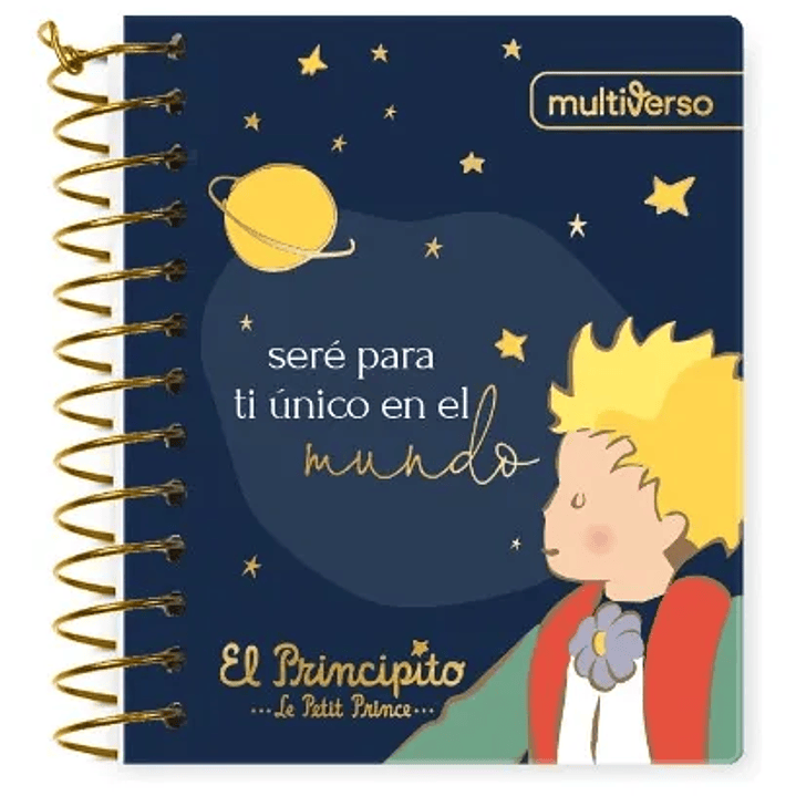 Pack 5 Cuadernos Mini Pocket El Principito 9x11cm 3