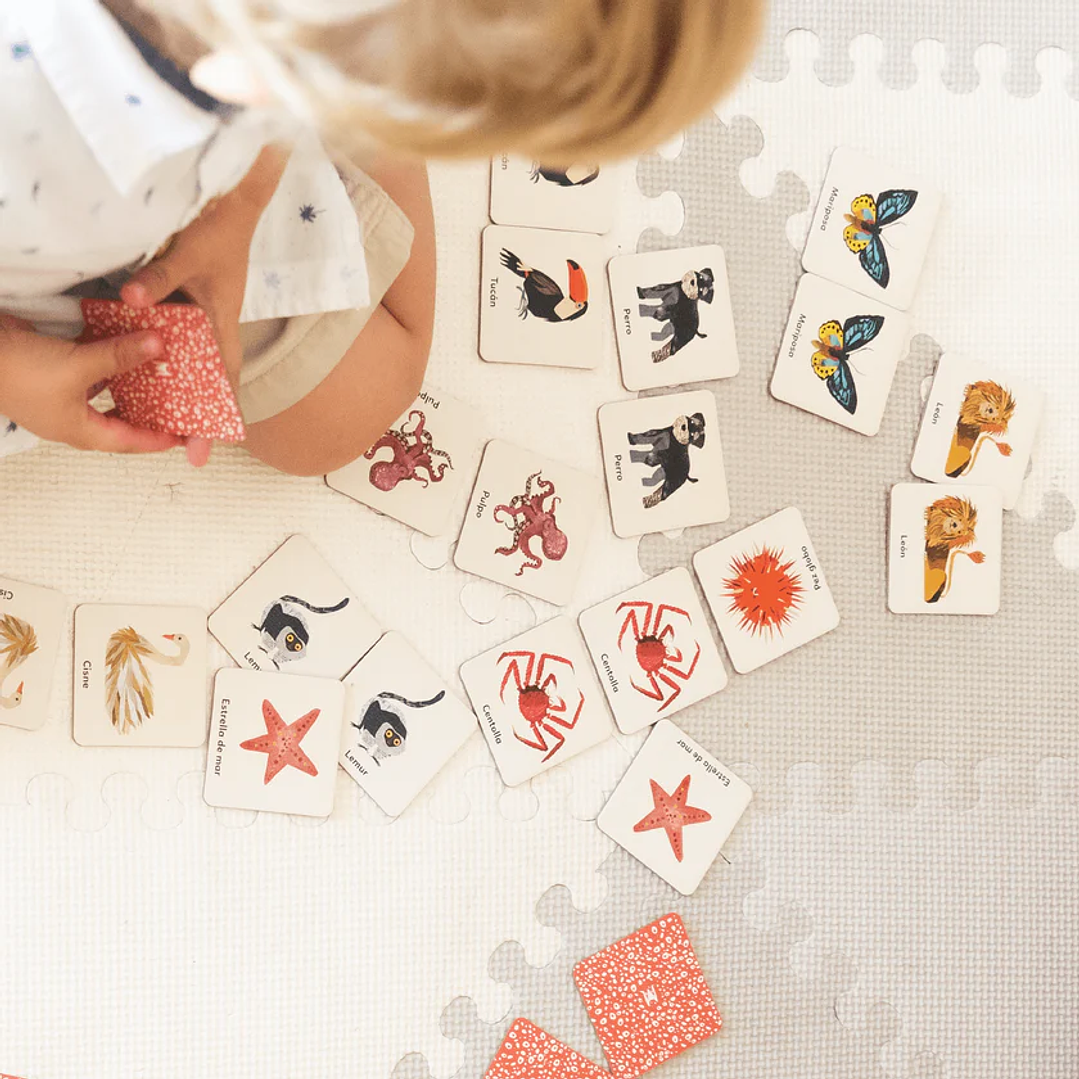 Memo fauna, Maya Hanisch 2