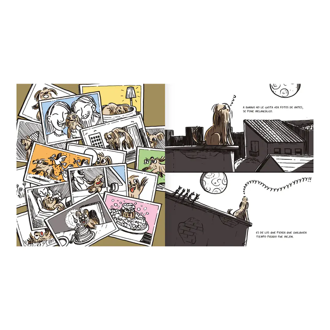 Simplemente Burrus, Daniel Piqueras 2