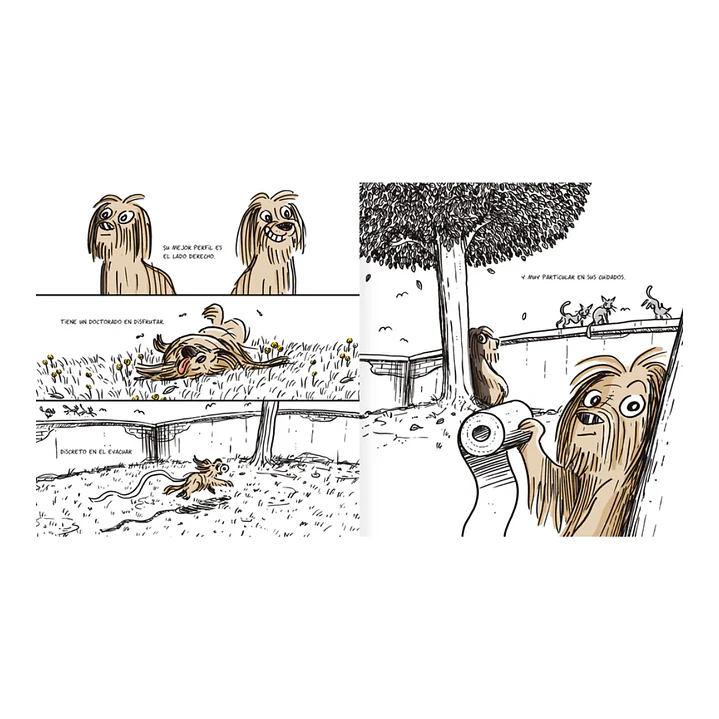 Simplemente Burrus, Daniel Piqueras 3