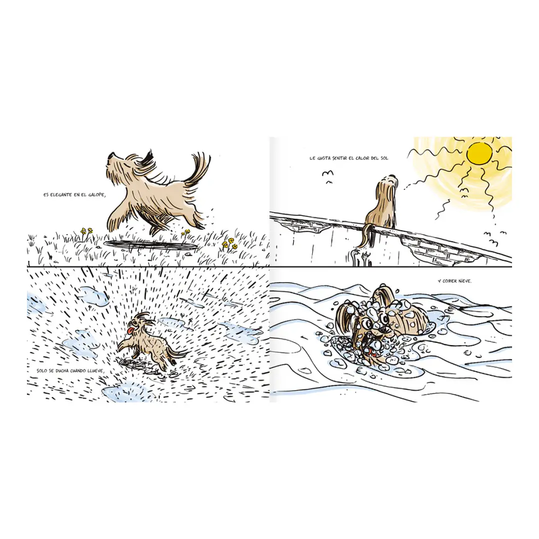 Simplemente Burrus, Daniel Piqueras 4