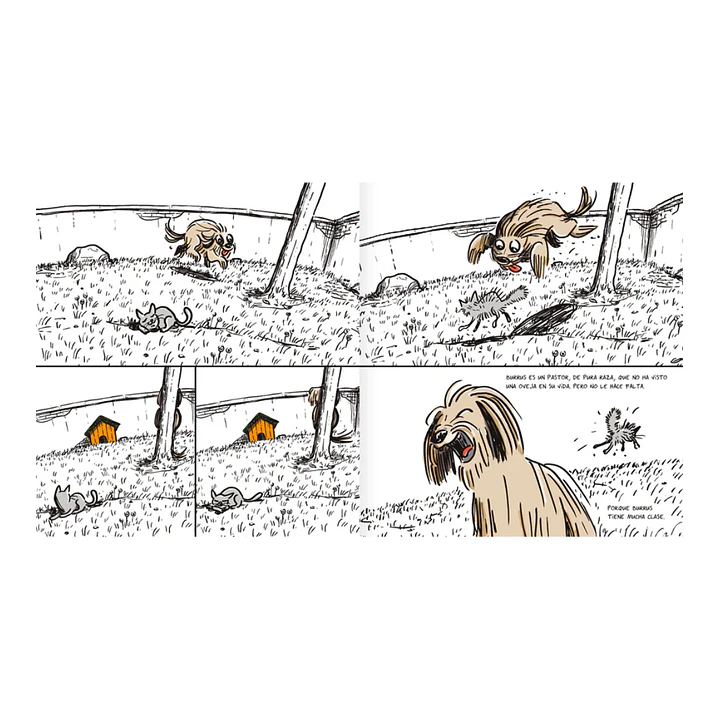 Simplemente Burrus, Daniel Piqueras 6