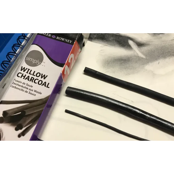 Pack 12 Barras Carboncillo Sauce Daler-Rowney Negro Simply Willow 5