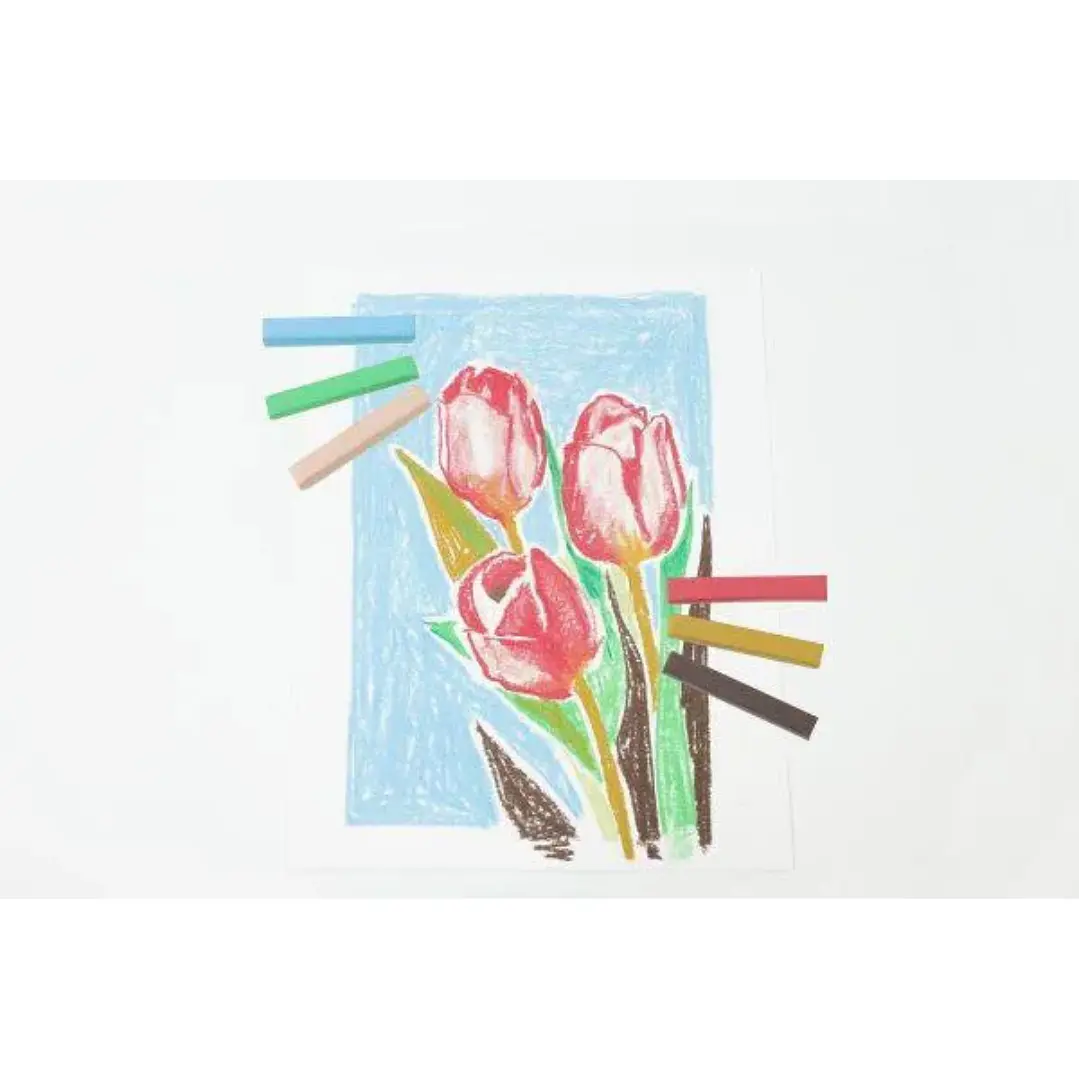 Barras Pasteles Suaves Simply Daler Rowney 12 Colores 4