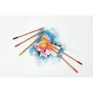 12 Lápices de acuarela y pincel de agua Daler Rowney Simply