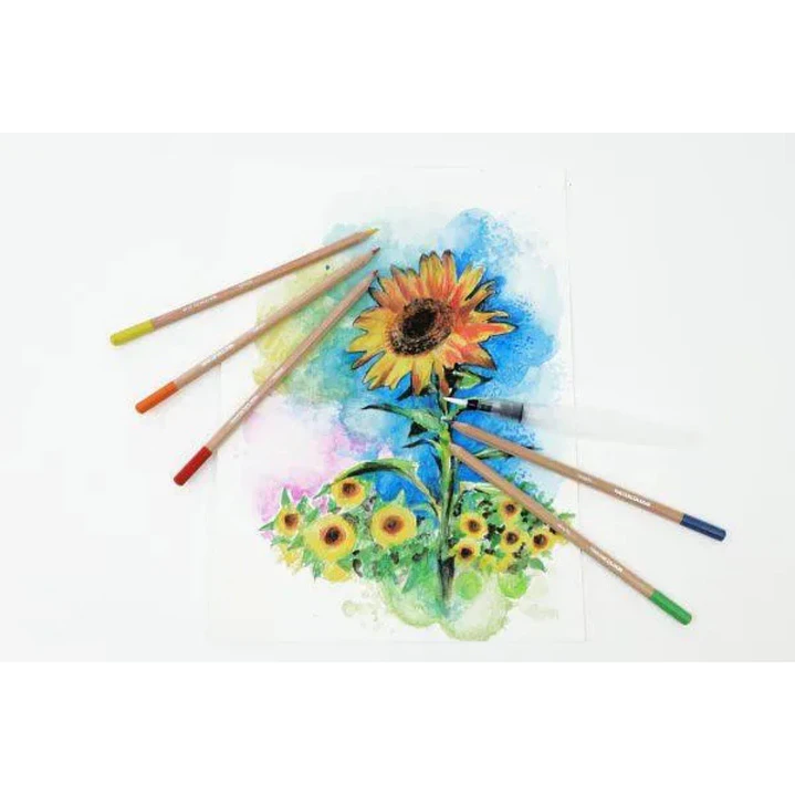 12 Lápices de acuarela y pincel de agua Daler Rowney Simply 4