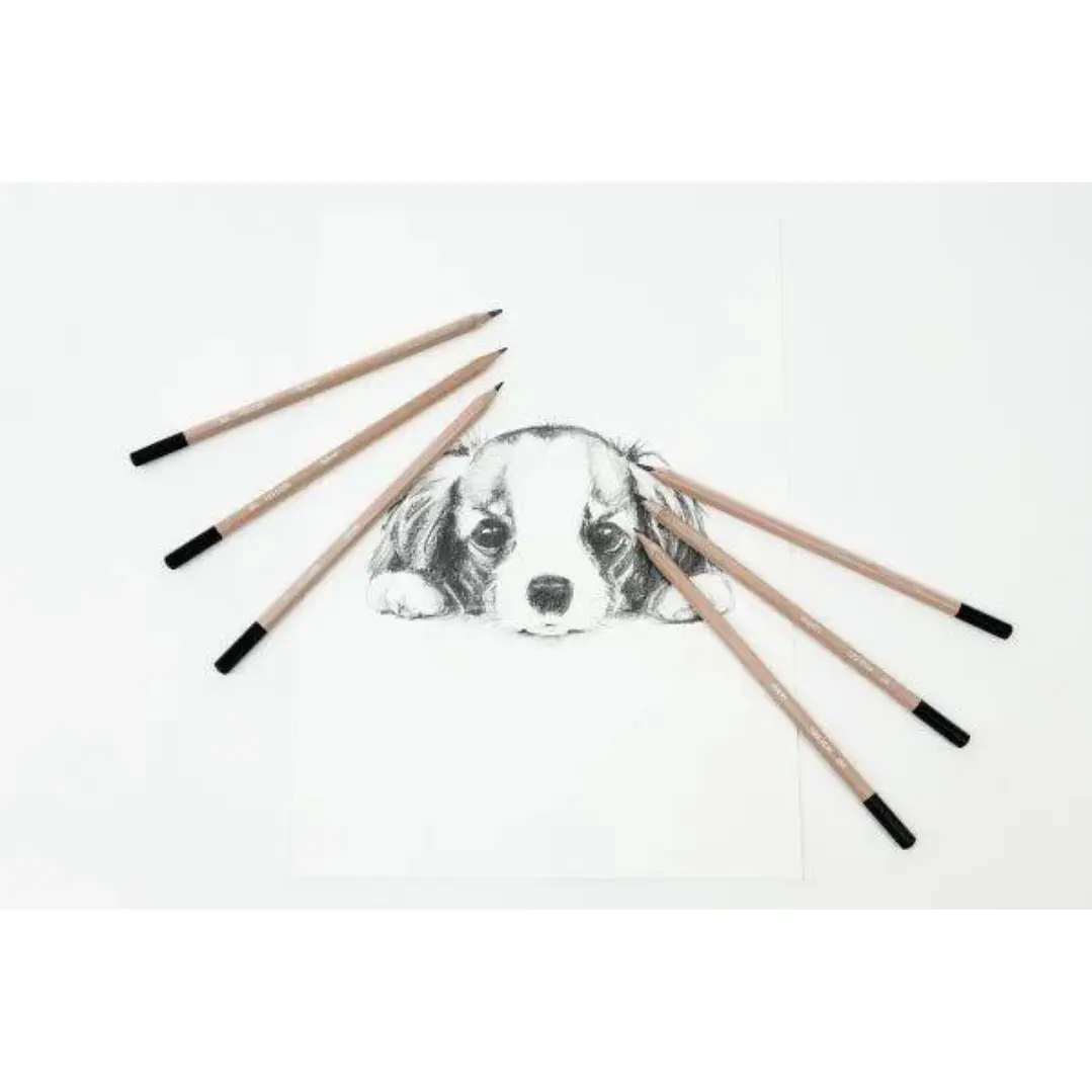 Set de 12 lápices de dibujo Graduados Daler Rowney Simply 4