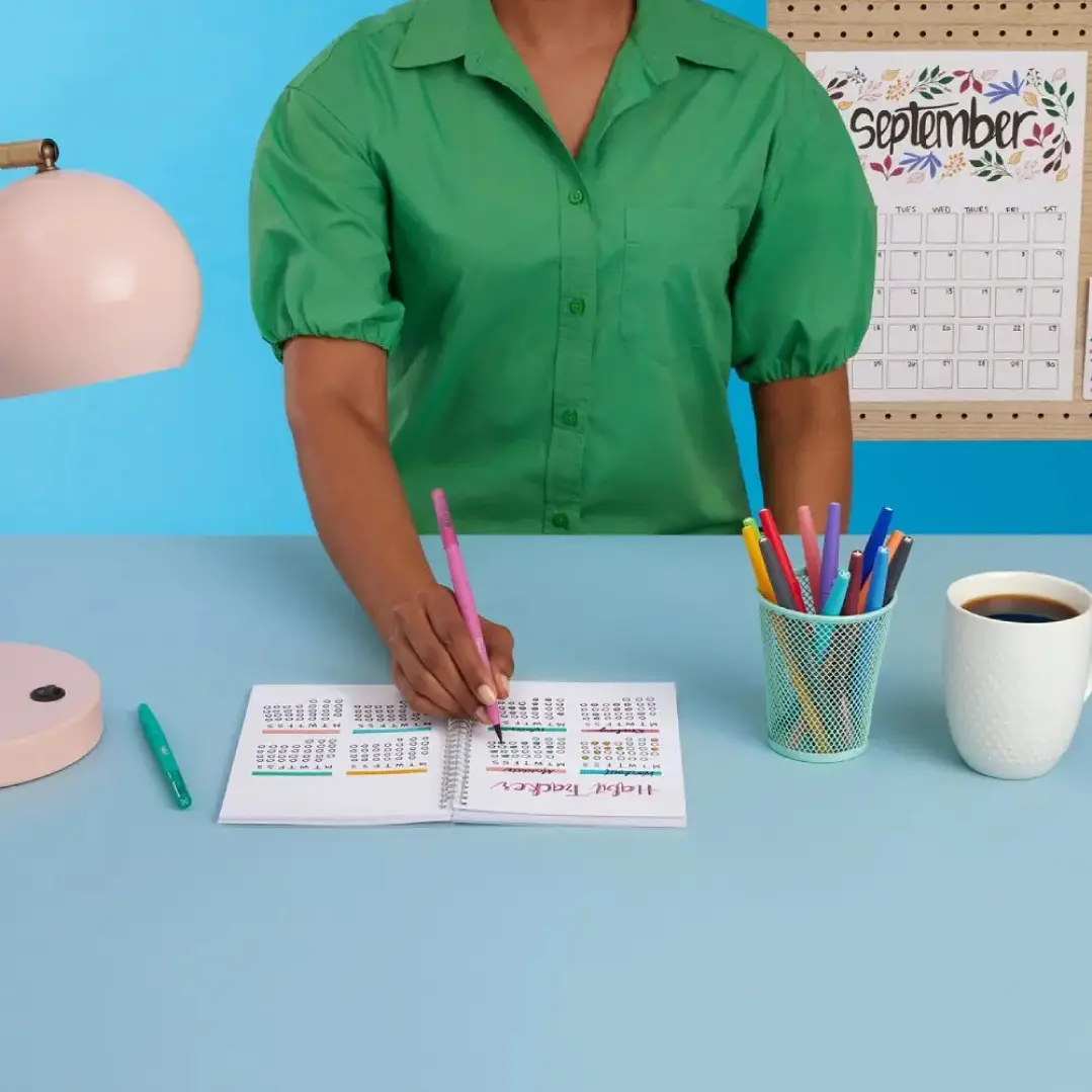 8 Tiralineas Flair Dual Brush Paper Mate Colores Surtidos 8