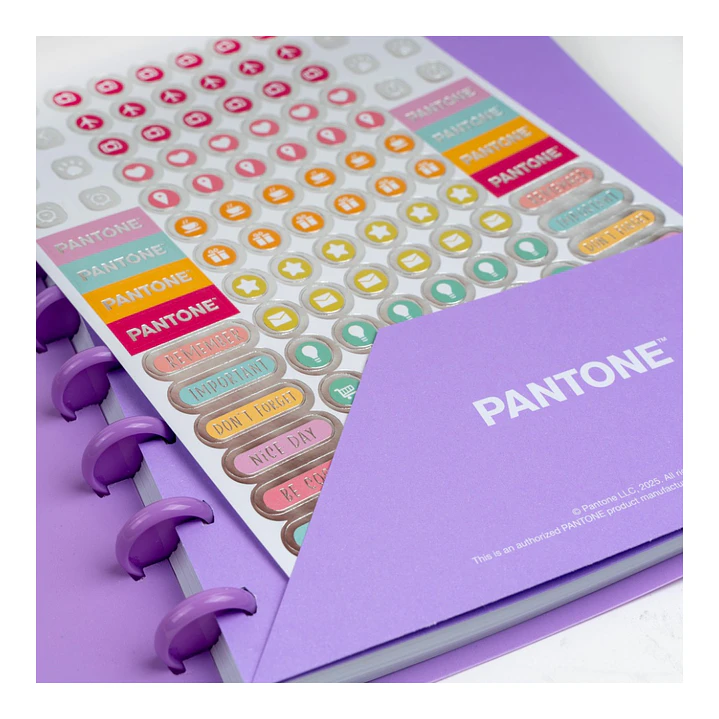 Cuaderno Disco Medio Oficio Pantone Lila 80 hojas  7
