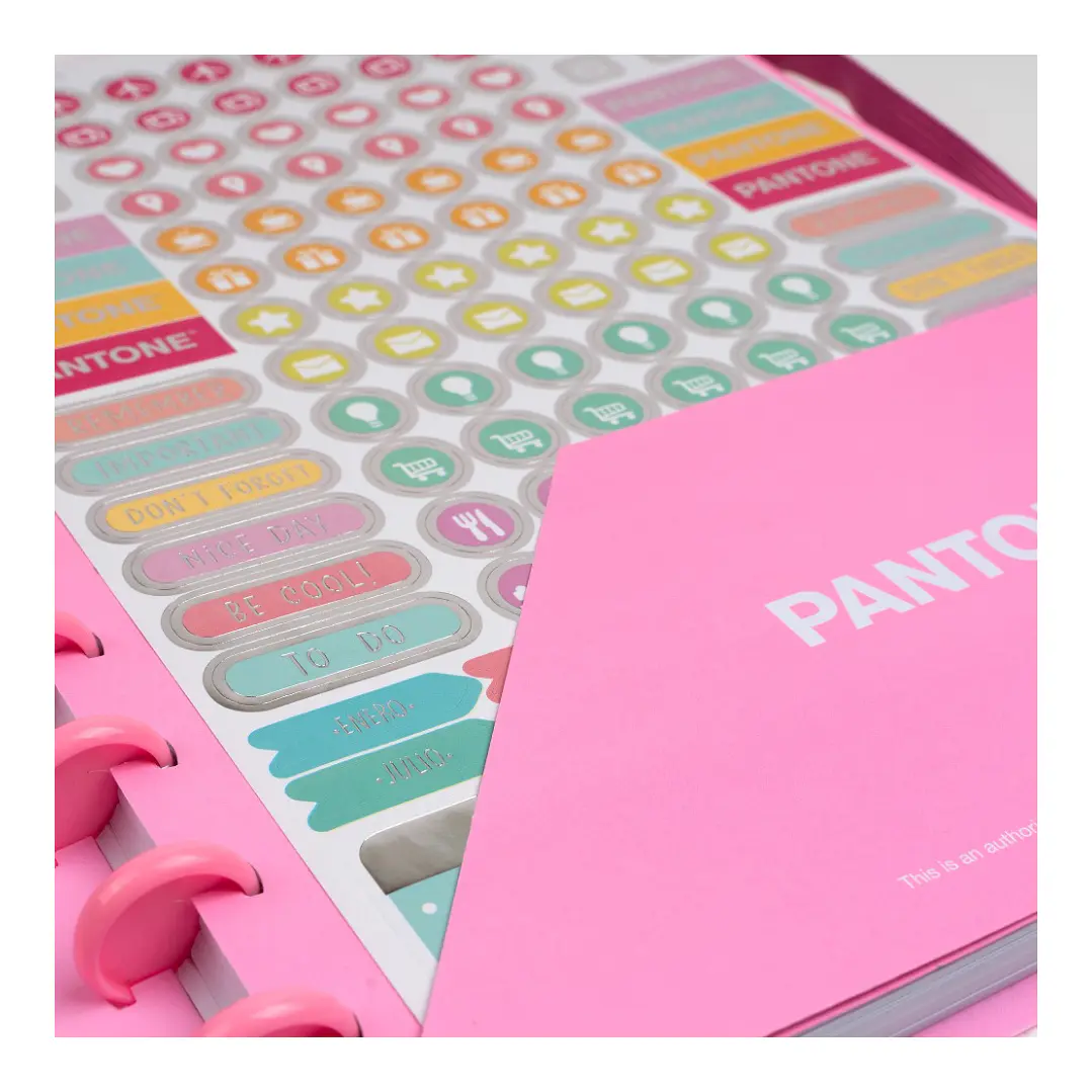 Cuaderno Discos Grande Pantone Rosado A4 80 hojas  3