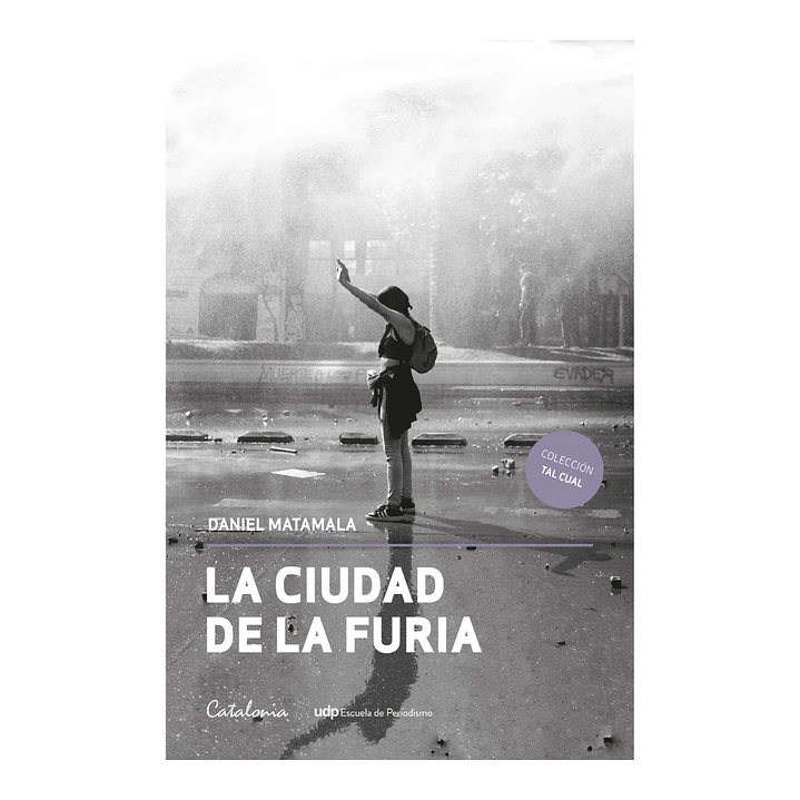 La Ciudad de la Furia, Daniel Matamala 1