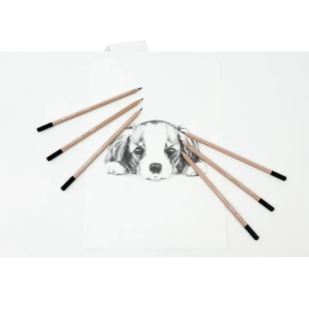 Set Lápices dibujo Daler Rowney Simply Sketching 12 Piezas 4