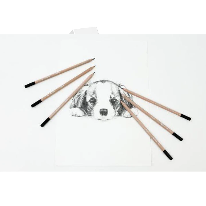 Set Lápices dibujo Daler Rowney Simply Sketching 12 Piezas 4