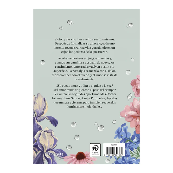 Sigue lloviendo, Alice Kellen 3