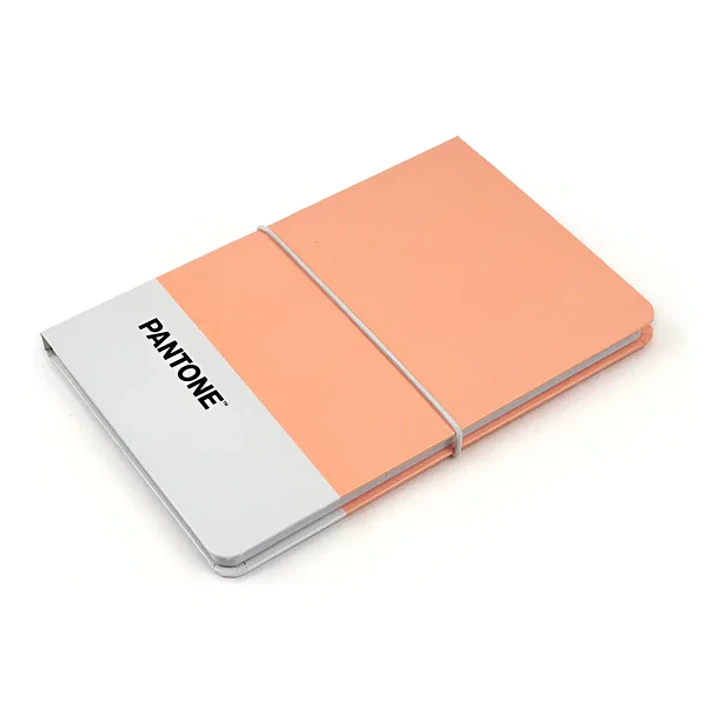 Libreta Pantone Mediana Con Elástico Horizontal 6