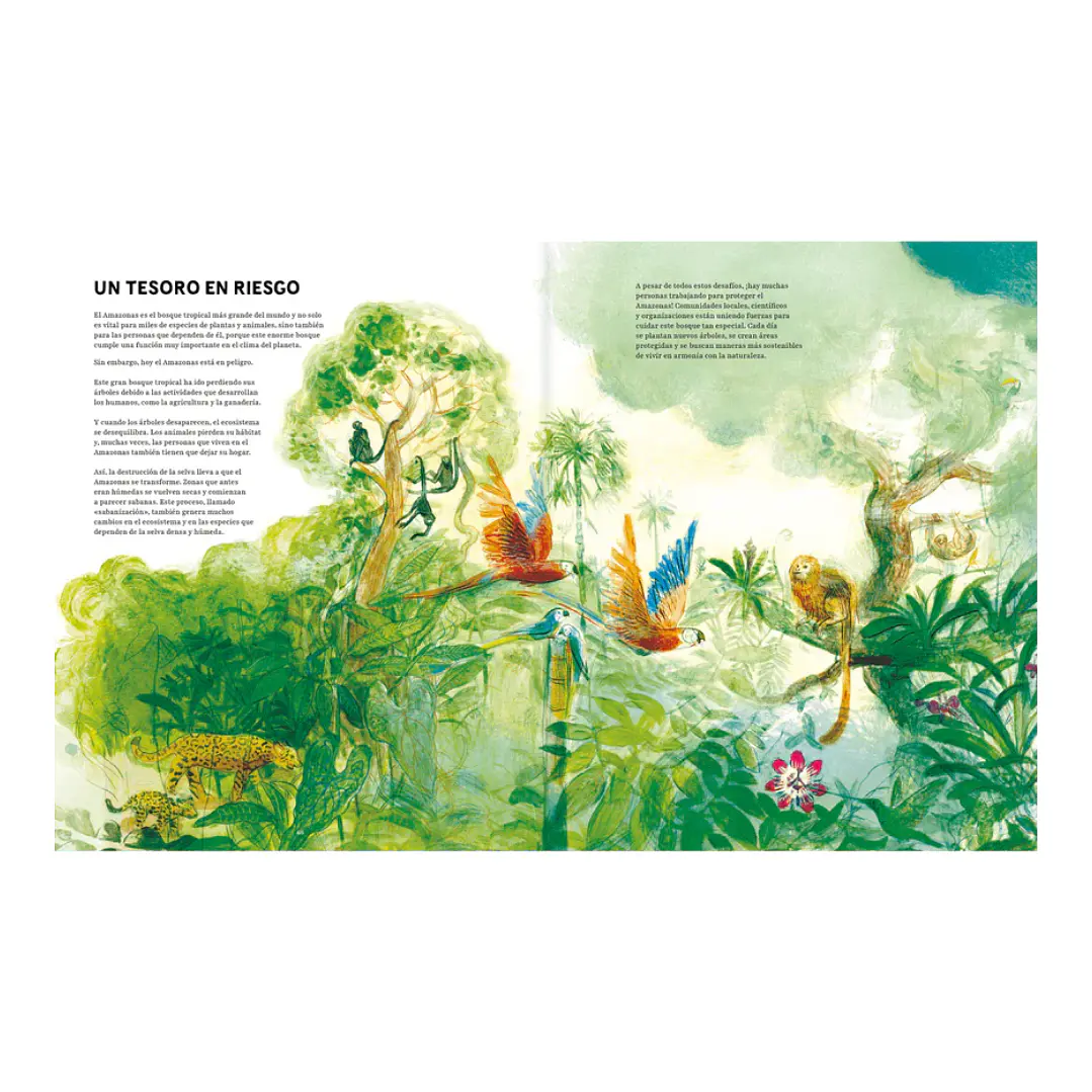 Amazonas, Javiera Bianchi & Elizabeth Builes 4