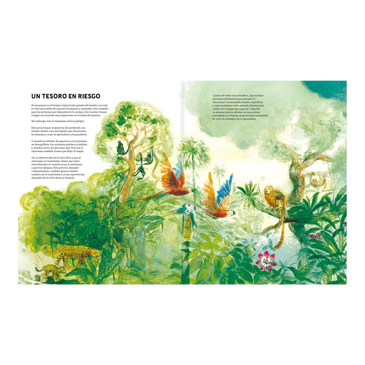 Amazonas, Javiera Bianchi & Elizabeth Builes 4