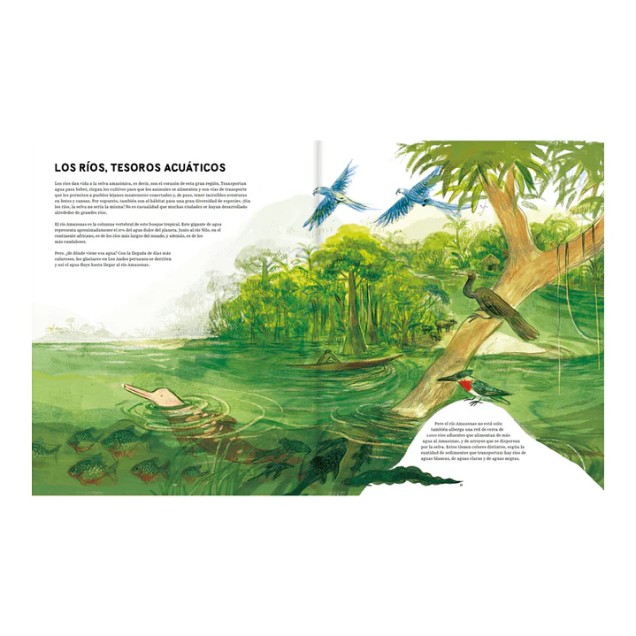 Amazonas, Javiera Bianchi & Elizabeth Builes 7