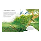 Amazonas, Javiera Bianchi & Elizabeth Builes - Miniatura 7