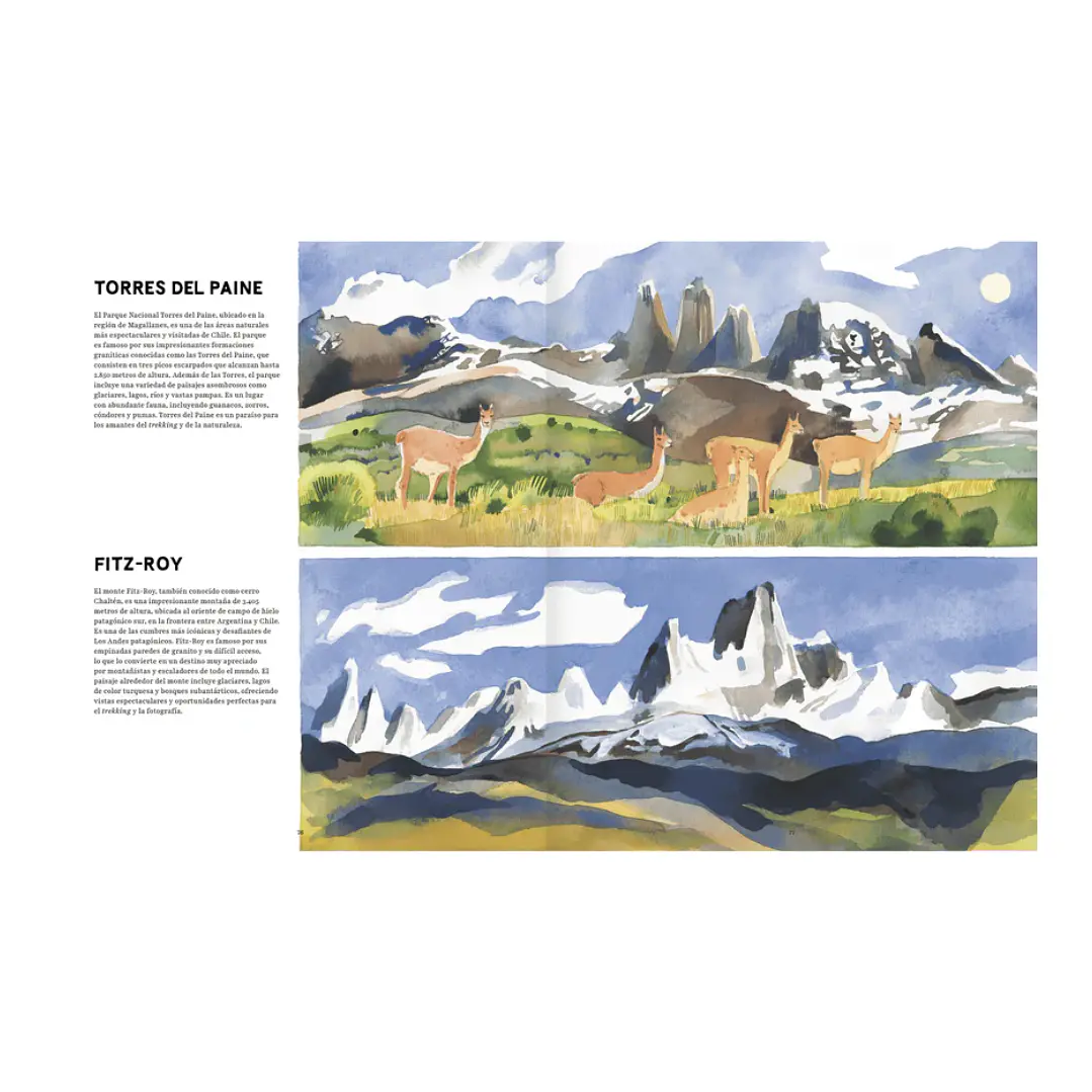 Patagonia, Olaya Sanfuentes & Luisa Rivera 8