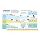 El libro de las comparaciones, Clive Gifford & Paul Boston - Miniatura 6