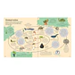El libro de las comparaciones, Clive Gifford & Paul Boston - Miniatura 7