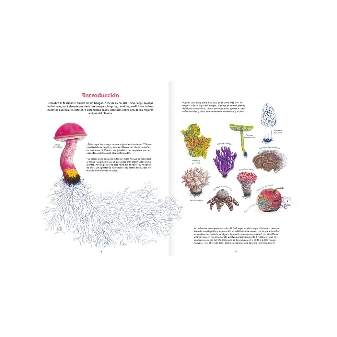 Reino Fungi, Octavia Mosciatti & Loreto Salinas 3