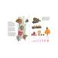 Reino Fungi, Octavia Mosciatti & Loreto Salinas - Miniatura 7