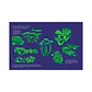Reino Fungi, Octavia Mosciatti & Loreto Salinas - Miniatura 9