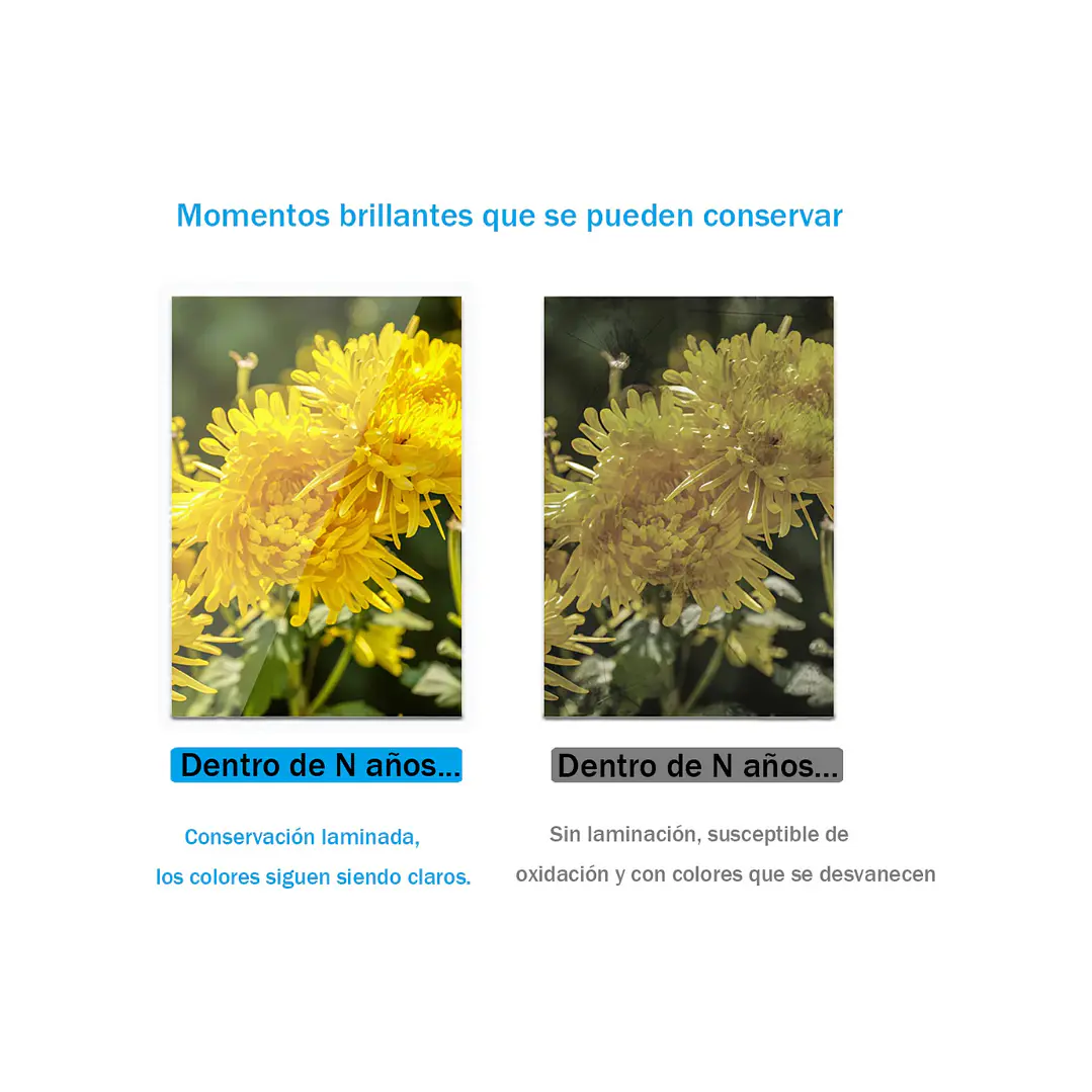 Láminas Para Plastificar 95x135mm 80 Micrones 100 Hojas 4