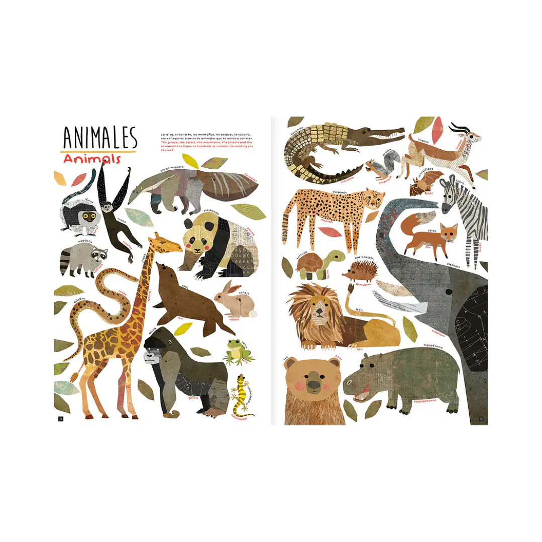 Son tantas cosas, Maya Hanisch 6