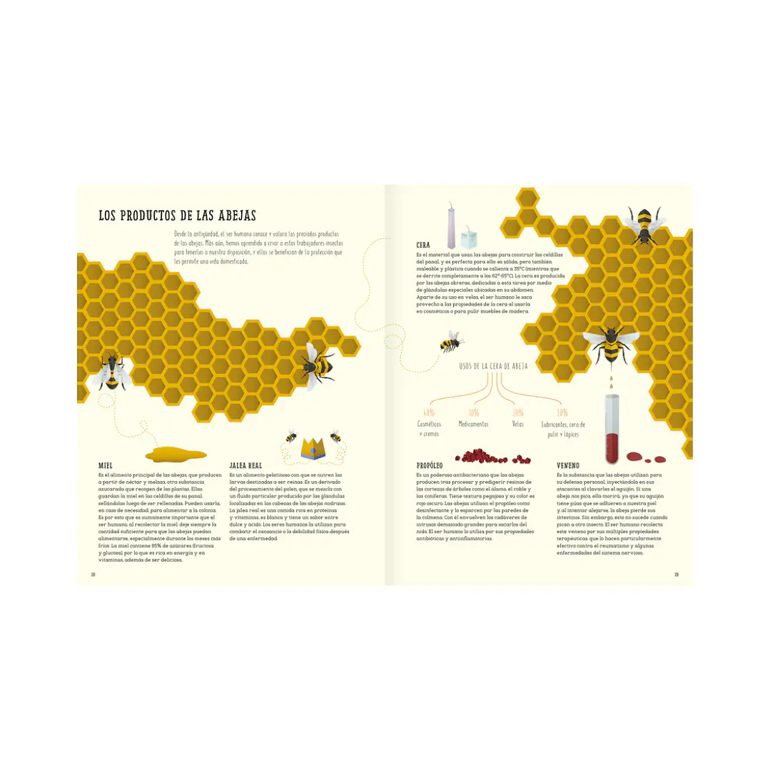 El mundo de las abejas, Cristina Banfi & Giulia de Amicis 3
