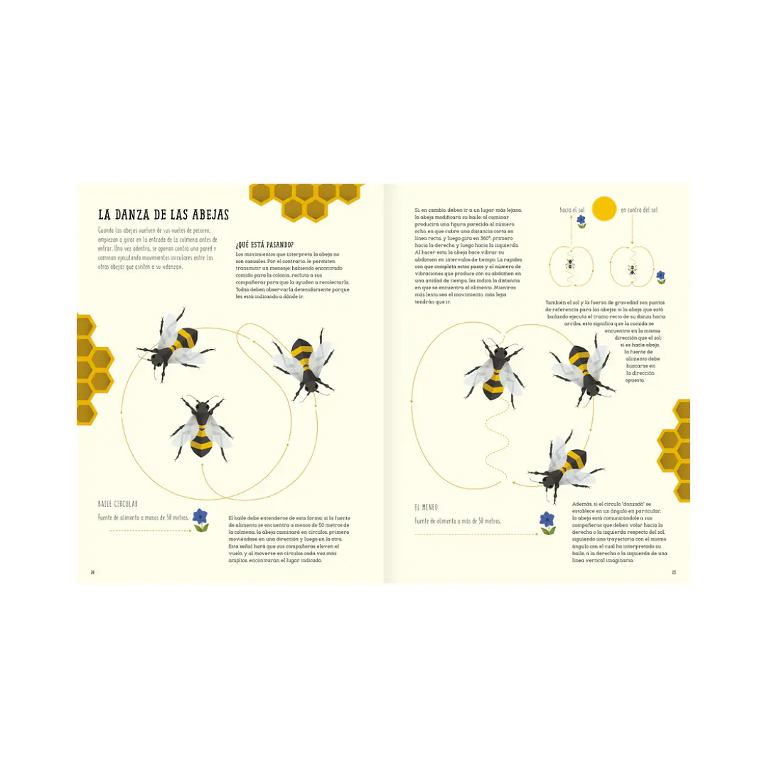 El mundo de las abejas, Cristina Banfi & Giulia de Amicis 4