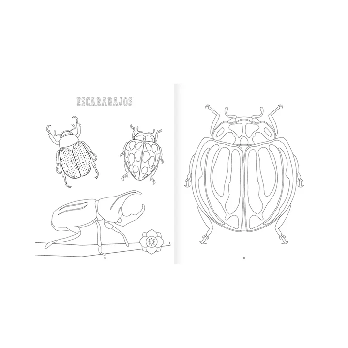 Insectopinta, Daniel Aguilera-Olivares & Itza Maturana 3