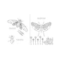 Insectopinta, Daniel Aguilera-Olivares & Itza Maturana - Miniatura 4