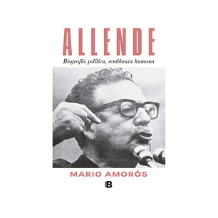 Allende. Biografía política, semblanza humana, Mario Amorós