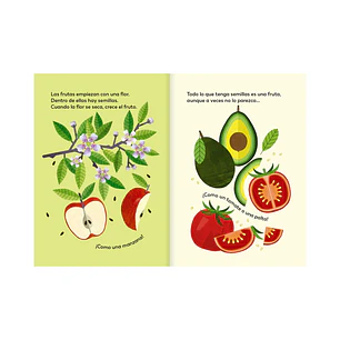Fruta o verdura, Octavia Mosciatti & Emilia Valle