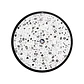 Juego De Mesa ¡Yo lo Vi! Black & White Dactic Games - Miniatura 3