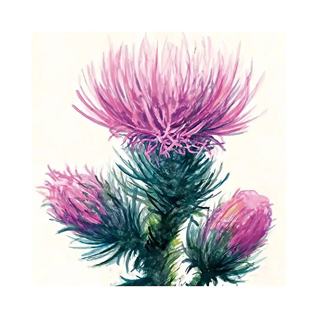 Croquera Acuarela Strathmore 300g 15.2x30.5cm 12 Hojas 3