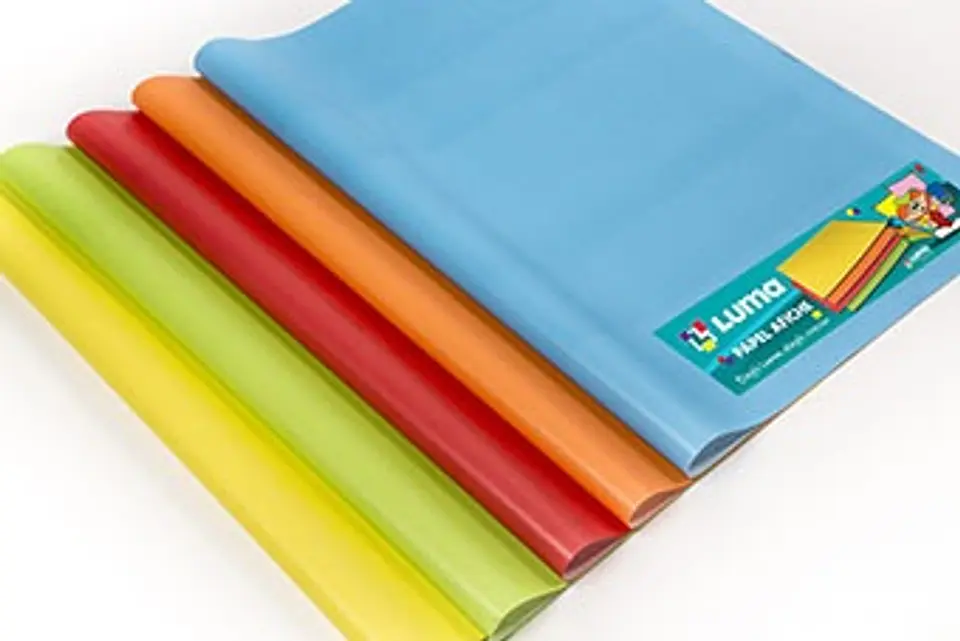 Papel Afiche Luma Color Surtido X50u. 1