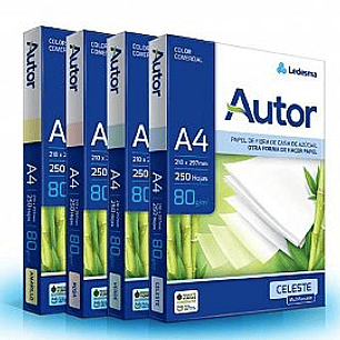 RESMA LEDESMA AUTOR 80 GRS A4 COLOR X 250