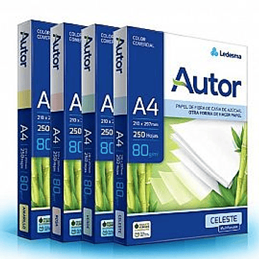 RESMA LEDESMA AUTOR 80 GRS A4 COLOR X 250 1