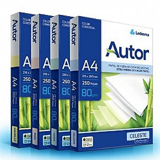 RESMA LEDESMA AUTOR 80 GRS A4 COLOR X 250 1