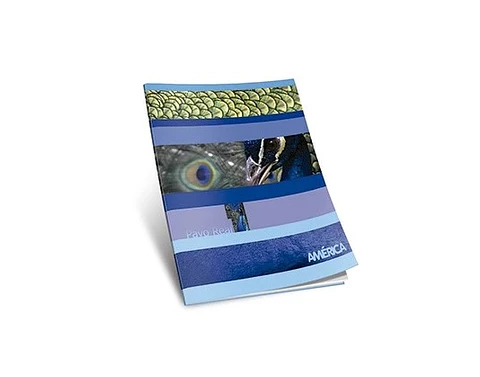 Cuaderno America T/f X86h Rayado