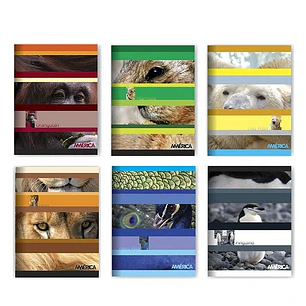 Cuaderno America T/f X48h Cuadriculado
